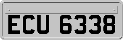 ECU6338