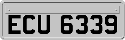 ECU6339