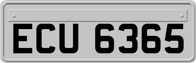 ECU6365