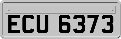 ECU6373
