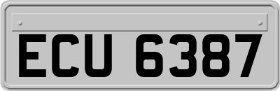 ECU6387