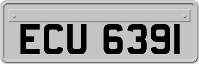 ECU6391