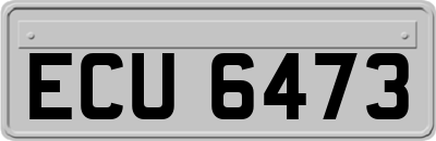 ECU6473