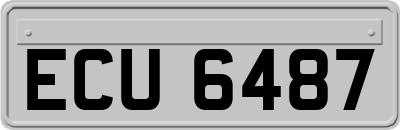ECU6487