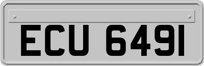 ECU6491