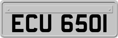 ECU6501