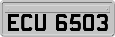 ECU6503