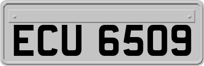 ECU6509