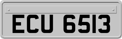 ECU6513