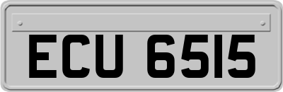 ECU6515