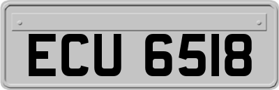 ECU6518
