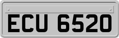 ECU6520