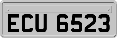 ECU6523