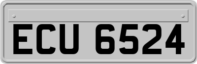 ECU6524