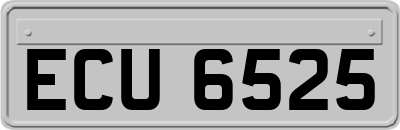 ECU6525
