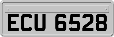 ECU6528