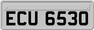 ECU6530