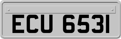 ECU6531