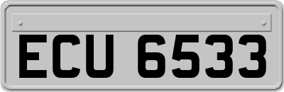 ECU6533