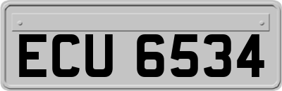 ECU6534