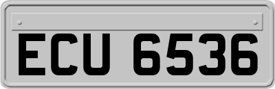 ECU6536