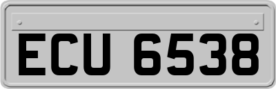 ECU6538