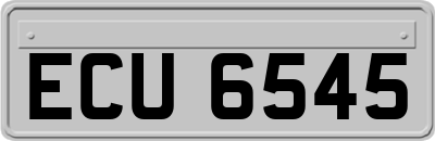 ECU6545