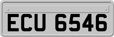 ECU6546