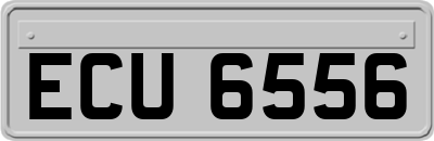 ECU6556