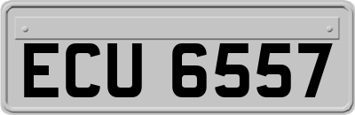 ECU6557