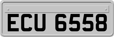 ECU6558