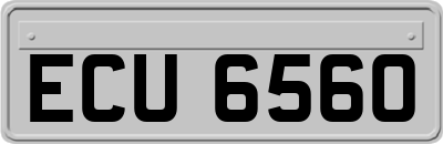 ECU6560