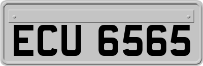 ECU6565