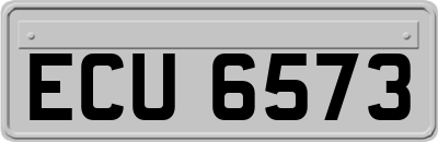 ECU6573