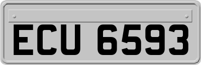 ECU6593