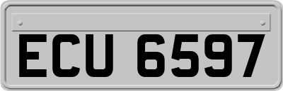 ECU6597
