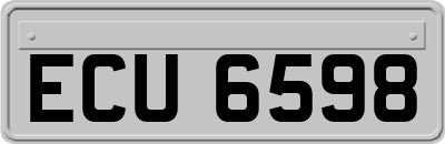 ECU6598
