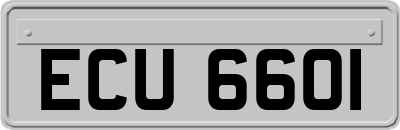 ECU6601