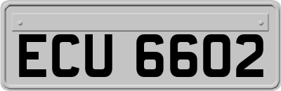 ECU6602