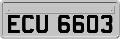 ECU6603