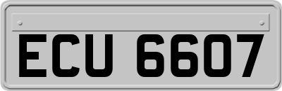 ECU6607