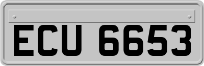 ECU6653