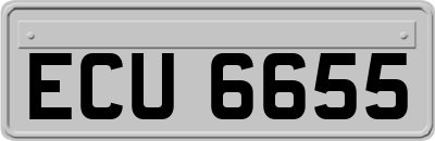 ECU6655