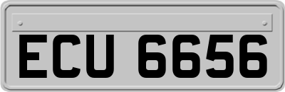 ECU6656