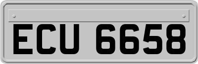 ECU6658