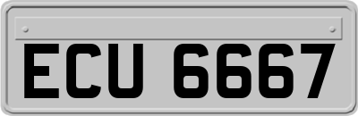 ECU6667