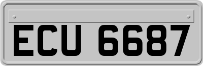 ECU6687
