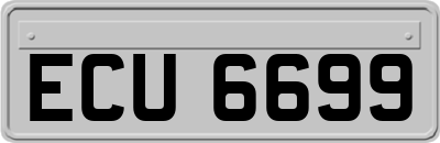 ECU6699
