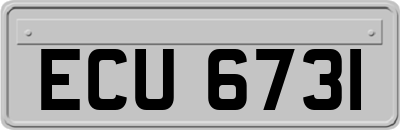 ECU6731
