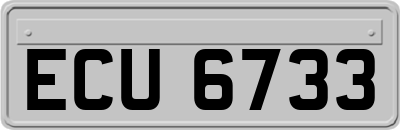 ECU6733